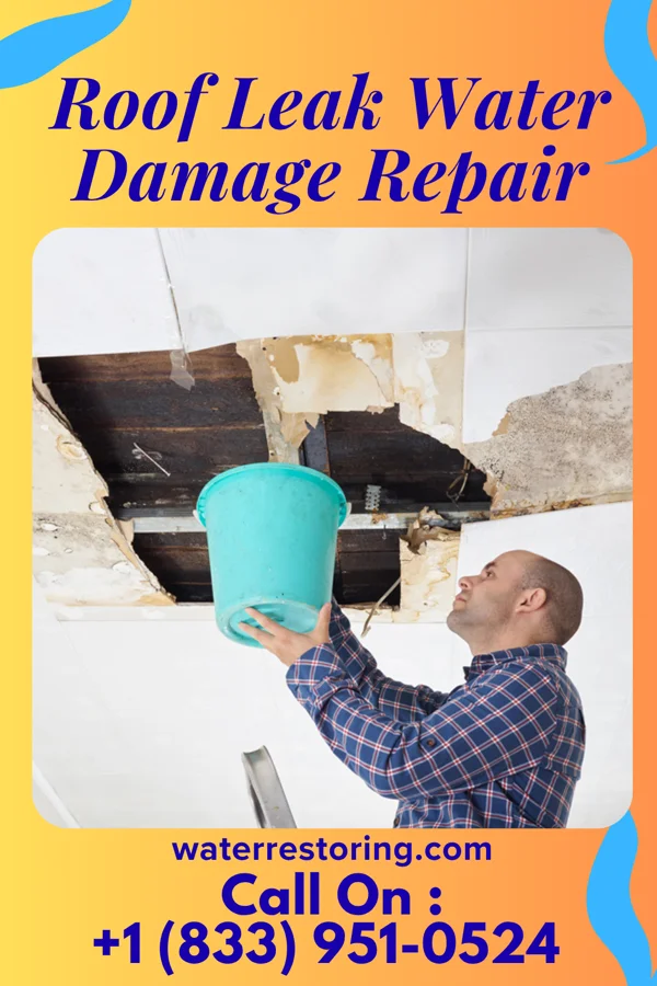Roof Leak Water Damage Repair in Brunswick, MO