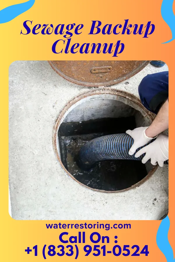 Sewage Backup Cleanup in Brunswick, MO